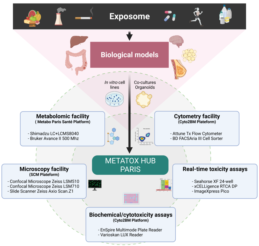 exposome